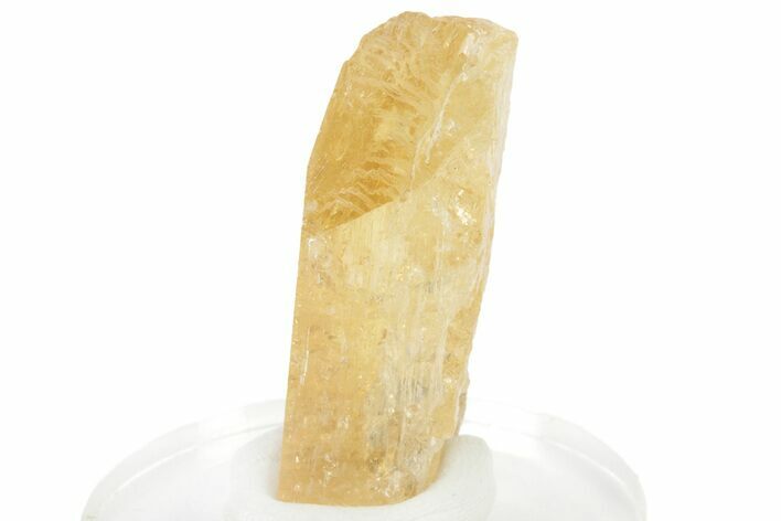 Gemmy Imperial Topaz Crystal - Zambia #231327